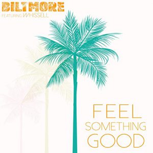 دانلود آهنگ Feel something good به نام Biltmore