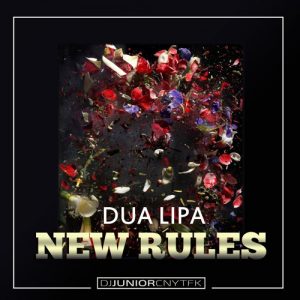 دانلود آهنگ Dua Lipa به نام New Rules
