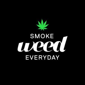 دانلود آهنگ Snoop Dogg به نام Smoke Weed Everyday