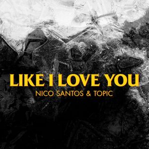 دانلود آهنگ Nico Santos و Topic به نام Like I Love You